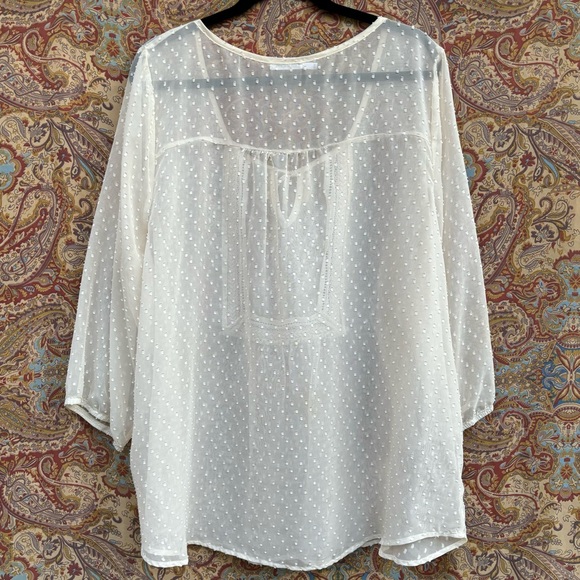 Maurice’s Sheer Cream Blouse - Picture 4 of 9